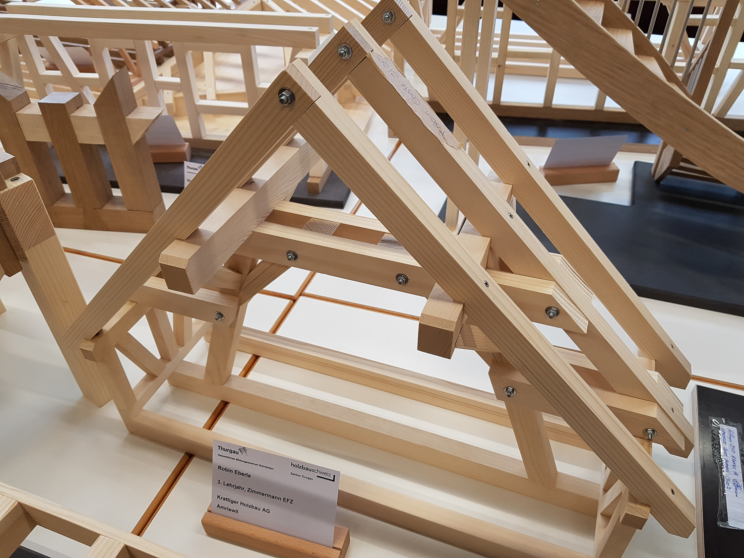 Modellwettbewerb 2019 GBZ Weinfelden: Modell «Binder» von Robin Eberle l Krattiger Holzbau AG Amriswil
