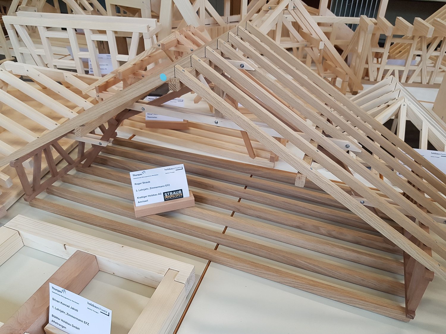 Modellwettbewerb 2019 GBZ Weinfelden: Modell «Binder» von Roger Straub l Krattiger Holzbau AG Amriswil
